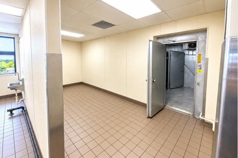 Immobilier commercial à louer à Brooksville, Floride: 272.58 m2 № 2380917 - photo 18