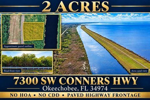 Terrain à Okeechobee, Floride № 2399319