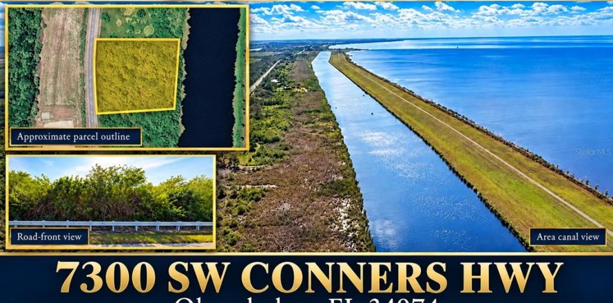 Terrain à Okeechobee, Floride № 2399319