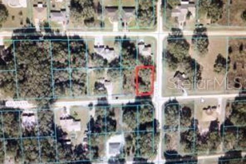 Land in Dunnellon, Florida № 2163578 - photo 2
