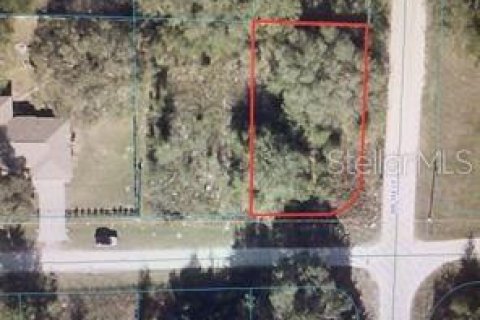 Terreno en Dunnellon, Florida № 2163578