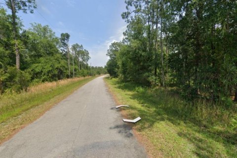 Land in Sebring, Florida № 2158652 - photo 7