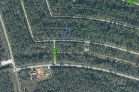 Land in Sebring, Florida № 2158652