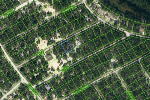 Land in Lake Placid, Florida № 2224021