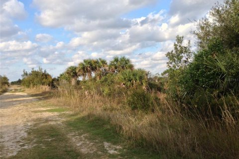 Land in Punta Gorda, Florida № 2218765 - photo 6