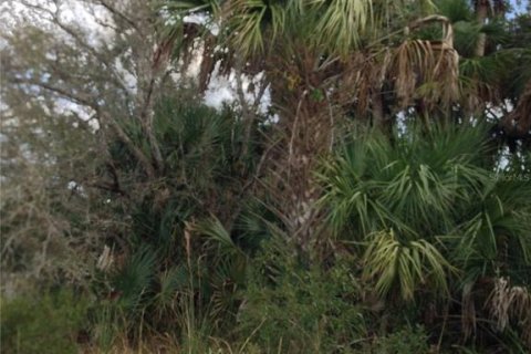 Land in Punta Gorda, Florida № 2218765 - photo 5