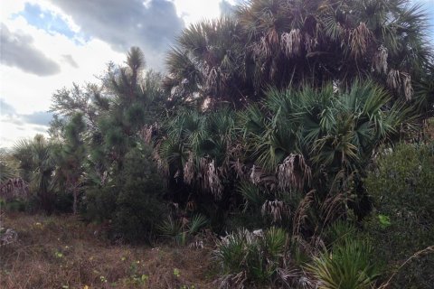 Land in Punta Gorda, Florida № 2218765 - photo 14