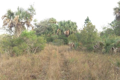 Land in Punta Gorda, Florida № 2218765 - photo 9