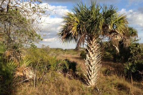 Land in Punta Gorda, Florida № 2218765 - photo 11