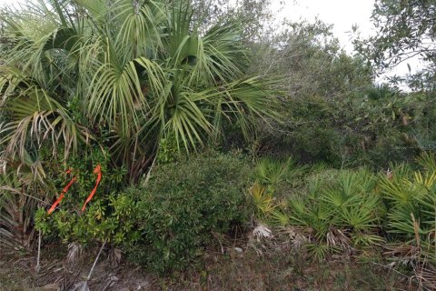 Land in Punta Gorda, Florida № 2218765 - photo 13