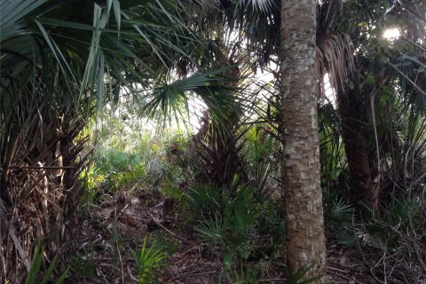 Land in Punta Gorda, Florida № 2218765 - photo 16