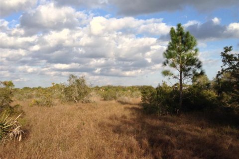 Land in Punta Gorda, Florida № 2218765 - photo 10
