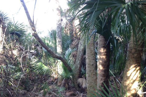 Land in Punta Gorda, Florida № 2218765 - photo 18