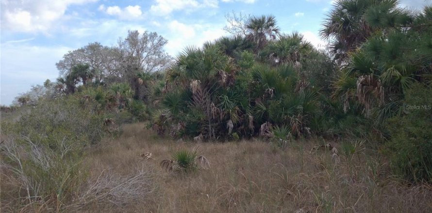 Land in Punta Gorda, Florida № 2218765