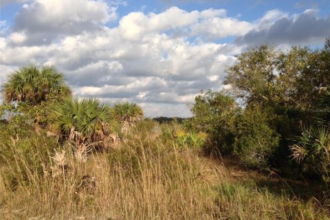 Land in Punta Gorda, Florida № 2218765 - photo 12