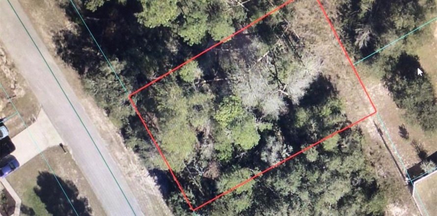 Land in Ocala, Florida № 2233145