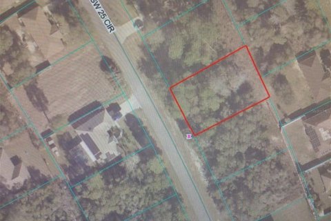 Land in Ocala, Florida № 2233145 - photo 3