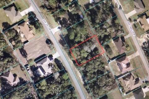 Land in Ocala, Florida № 2233145 - photo 2