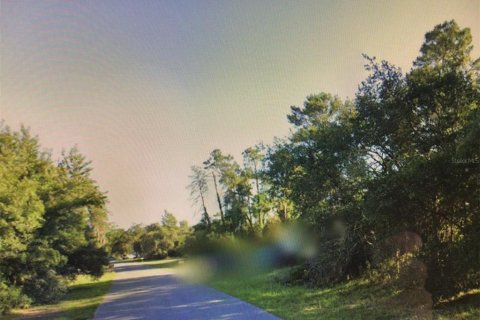 Land in Ocala, Florida № 2233145 - photo 6