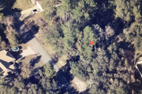 Land in Ocala, Florida № 2233145 - photo 5