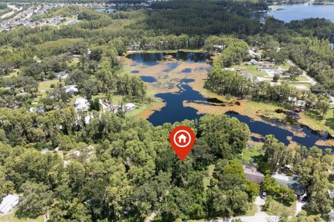 House in Land O' Lakes, Florida 2 bedrooms, 218.88 sq.m. № 1856056 - photo 10