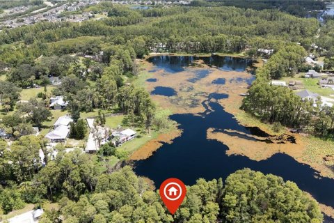 House in Land O' Lakes, Florida 2 bedrooms, 218.88 sq.m. № 1856056 - photo 9