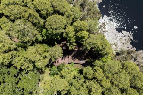House in Land O' Lakes, Florida 2 bedrooms, 218.88 sq.m. № 1856056 - photo 5
