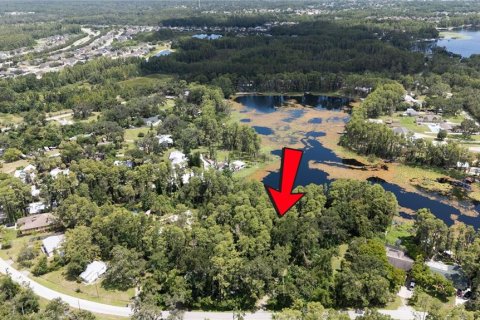 House in Land O' Lakes, Florida 2 bedrooms, 218.88 sq.m. № 1856056 - photo 11