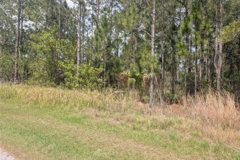 Land in Indian lake estates, Florida № 2207598 - photo 9