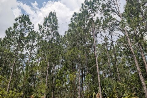 Land in Indian lake estates, Florida № 2207598 - photo 14
