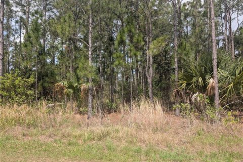 Land in Indian lake estates, Florida № 2207598 - photo 12