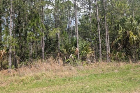 Land in Indian lake estates, Florida № 2207598 - photo 5