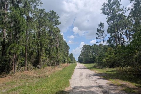 Land in Indian lake estates, Florida № 2207598 - photo 13