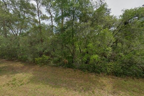Land in Ocala, Florida № 2375841 - photo 2