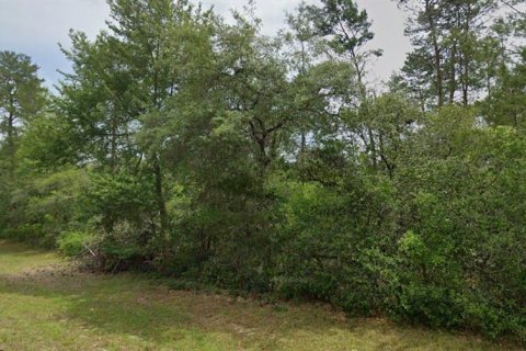 Land in Ocala, Florida № 2375841