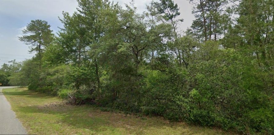 Land in Ocala, Florida № 2375841