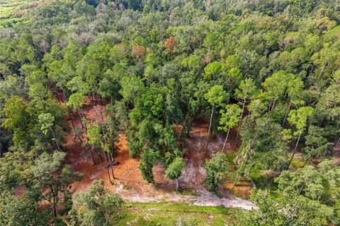 Terrain à Brooksville, Floride № 2375446