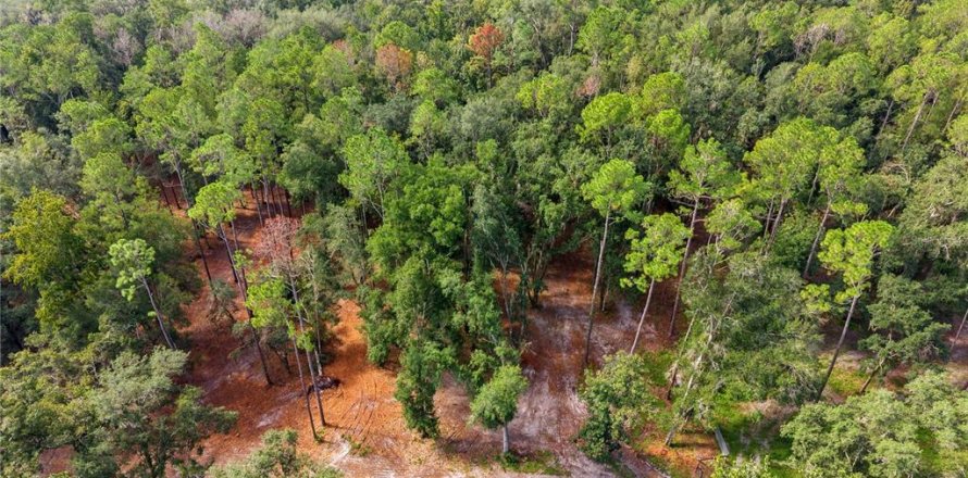 Terrain à Brooksville, Floride № 2375446