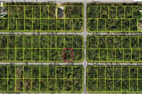 Land in Port Charlotte, Florida № 2158988 - photo 2