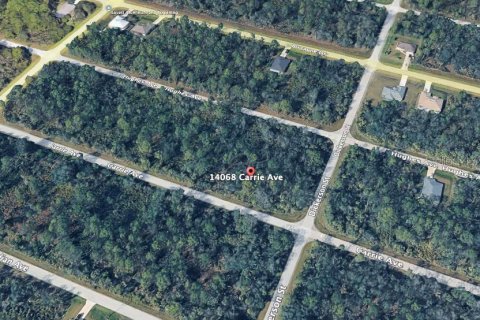 Land in Port Charlotte, Florida № 2158988