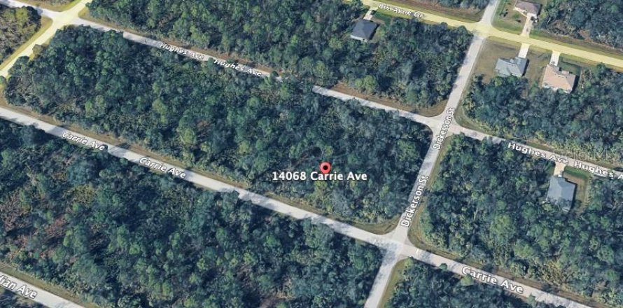 Land in Port Charlotte, Florida № 2158988