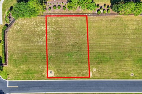 Land in Lake Alfred, Florida № 2199028 - photo 2