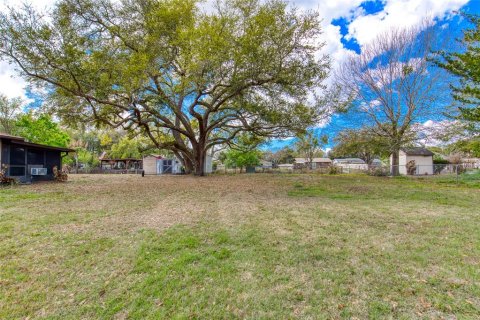 Land in Tavares, Florida № 2234059