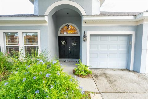 House in New Port Richey, Florida 4 bedrooms, 246.66 sq.m. № 1912722 - photo 10