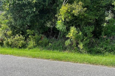 Terreno en Palm Coast, Florida № 2196041
