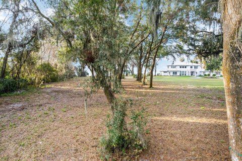 Terrain à vendre à Ocklawaha, Floride № 1548829 - photo 6