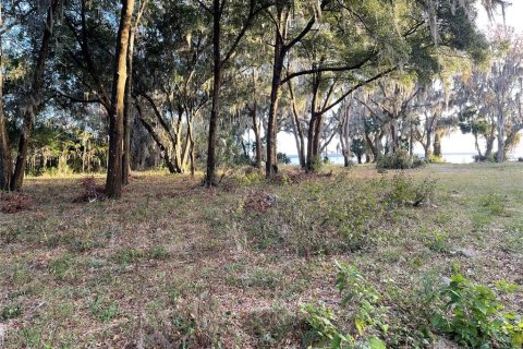 Terrain à vendre à Ocklawaha, Floride № 1548829 - photo 3