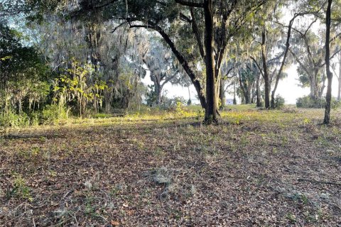 Terrain à vendre à Ocklawaha, Floride № 1548829 - photo 4