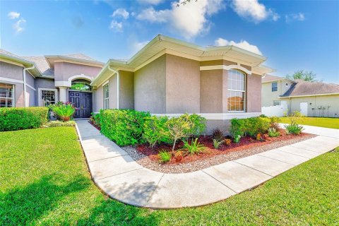Casa en alquiler en New Port Richey, Florida, 5 dormitorios, 294.41 m2 № 1906454 - foto 4