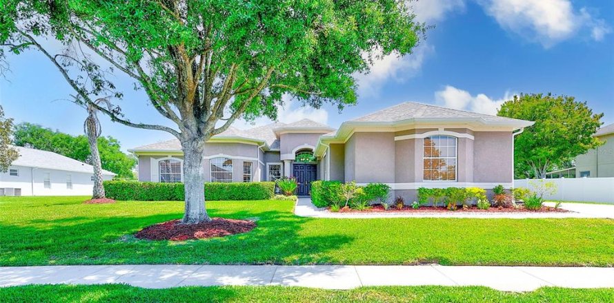 Casa en New Port Richey, Florida 5 dormitorios, 294.41 m2 № 1906454